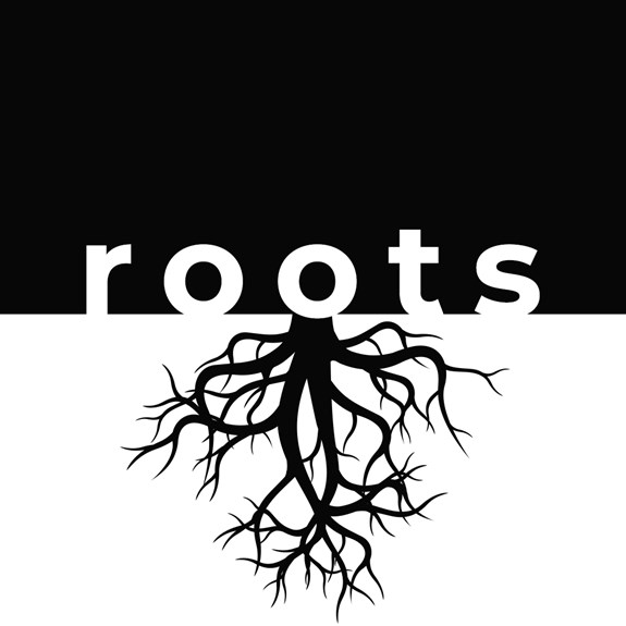 56 Roots Bible Study